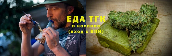индика Сосновоборск